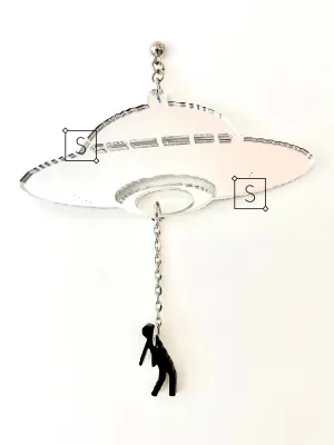 Abduction Earrings