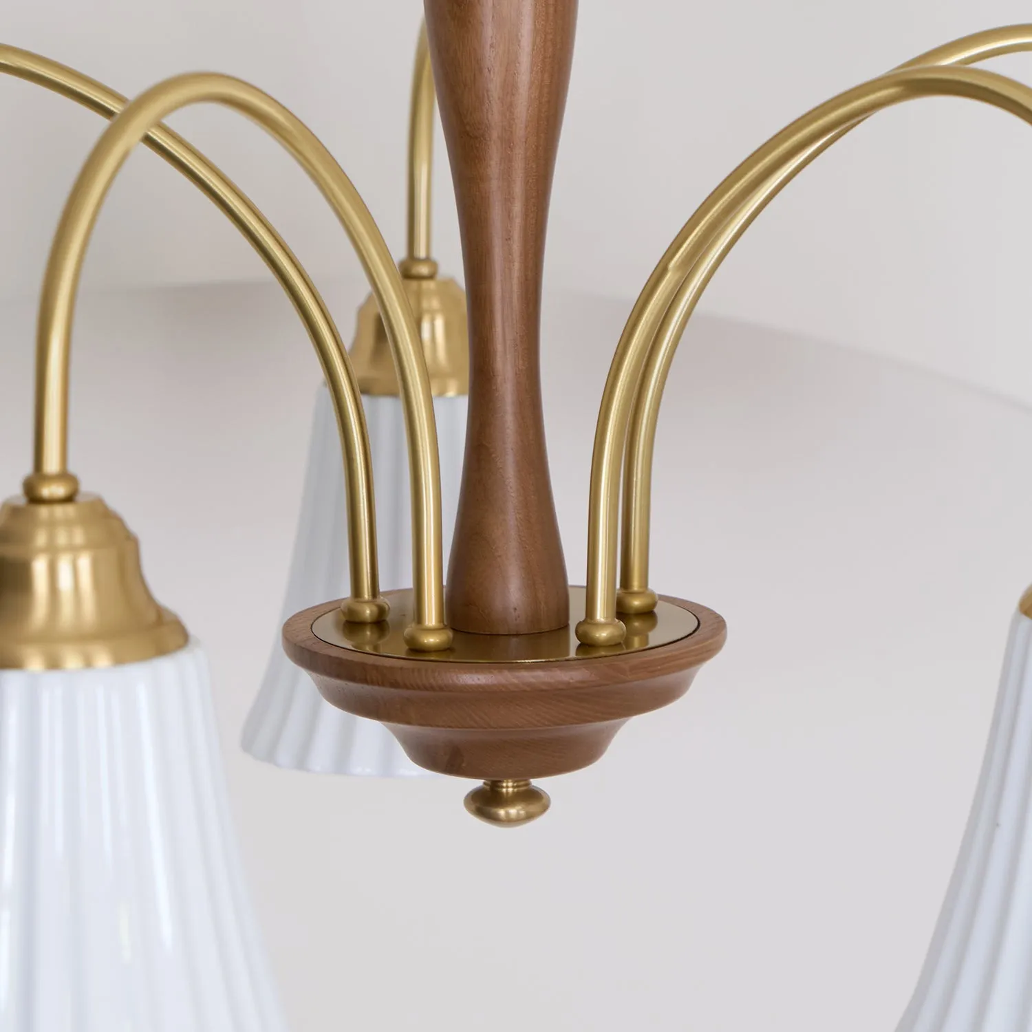 Conia Chandelier