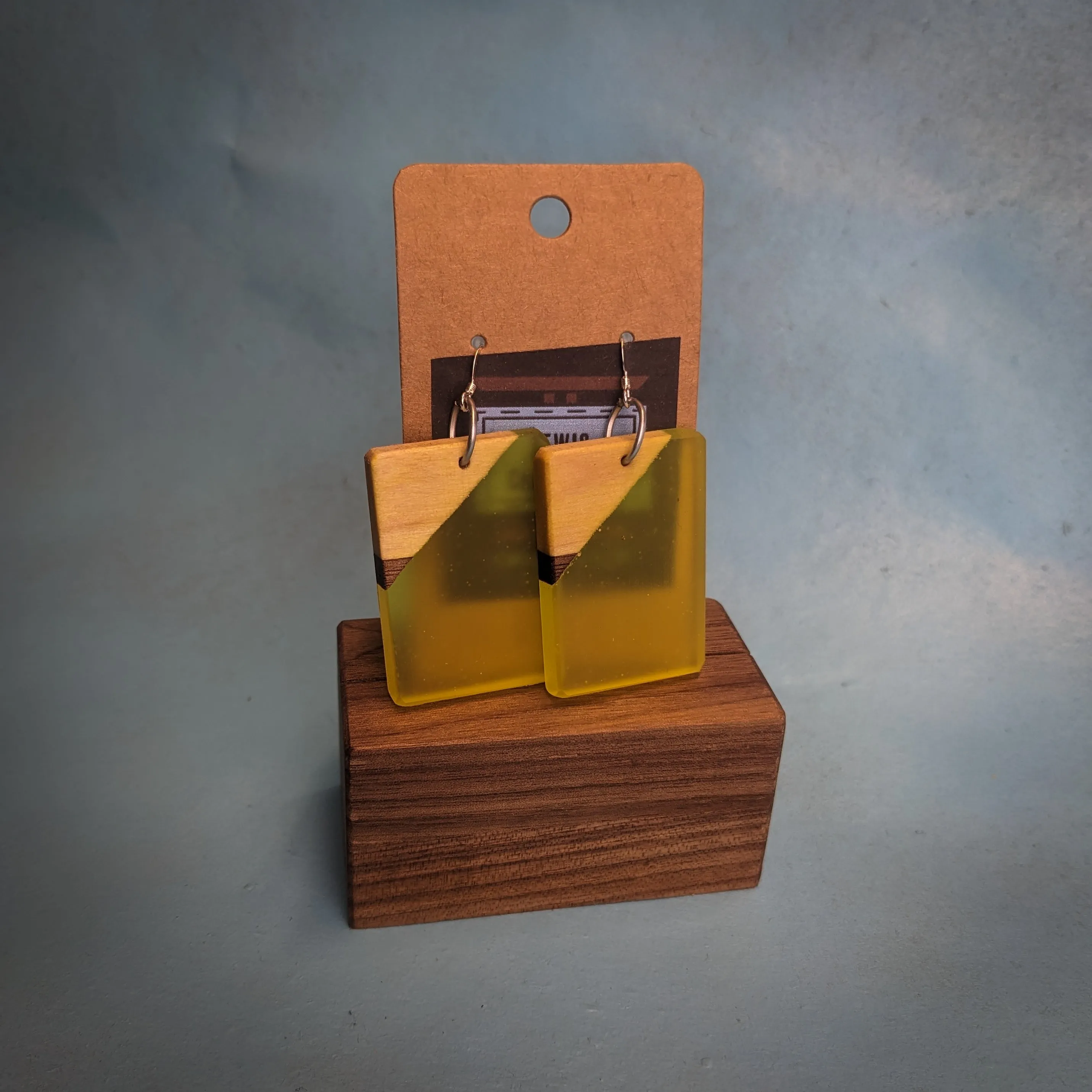 Sunny Rectangle Dangle Earrings